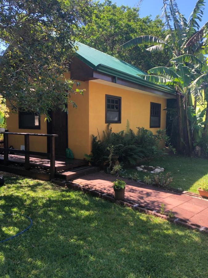 Airport Rio Segundo Studio Bed and Breakfast Αλαχουέλα Εξωτερικό φωτογραφία