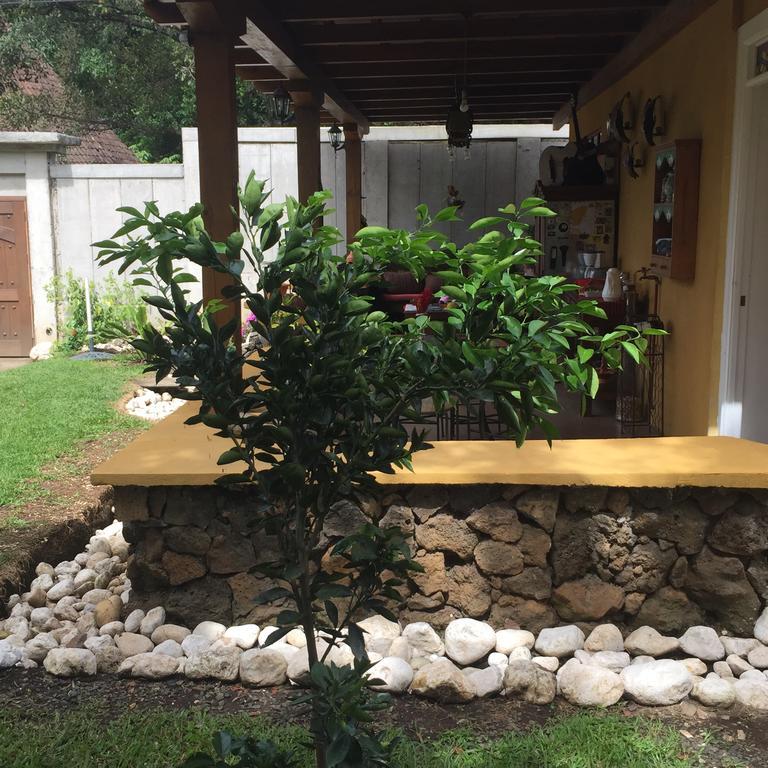 Airport Rio Segundo Studio Bed and Breakfast Αλαχουέλα Εξωτερικό φωτογραφία