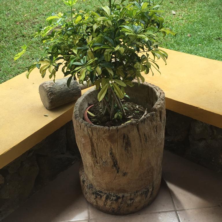 Airport Rio Segundo Studio Bed and Breakfast Αλαχουέλα Εξωτερικό φωτογραφία